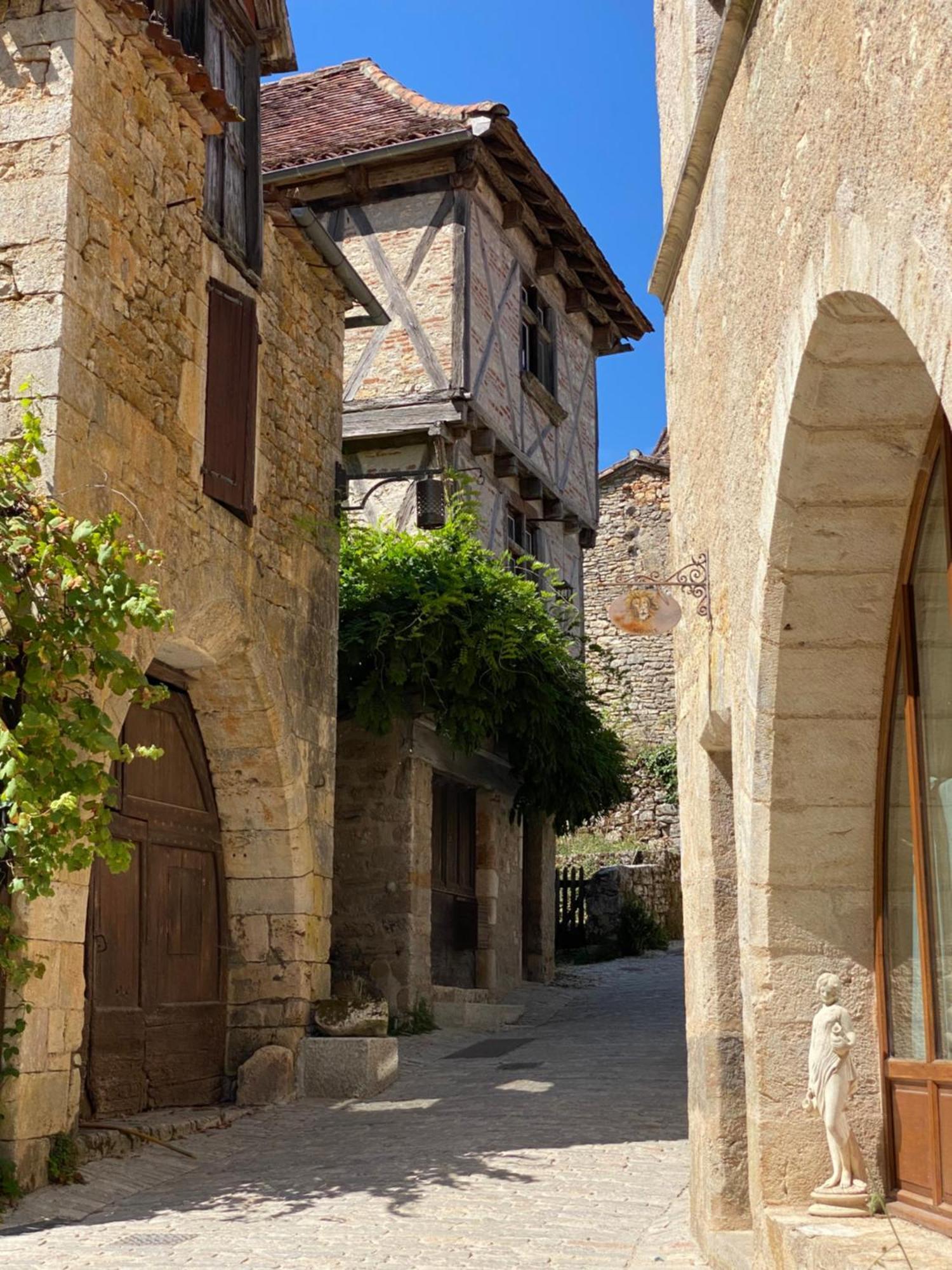 La Maison De Ganil Saint-Cirq-Lapopie Bagian luar foto